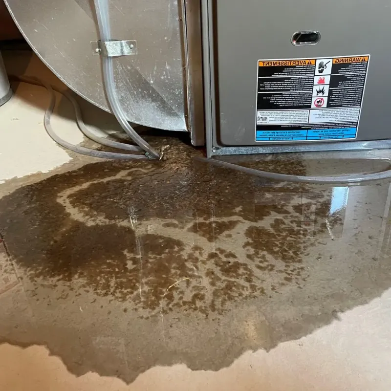 Pipe Burst and Leak Restoration in Antioch, CA